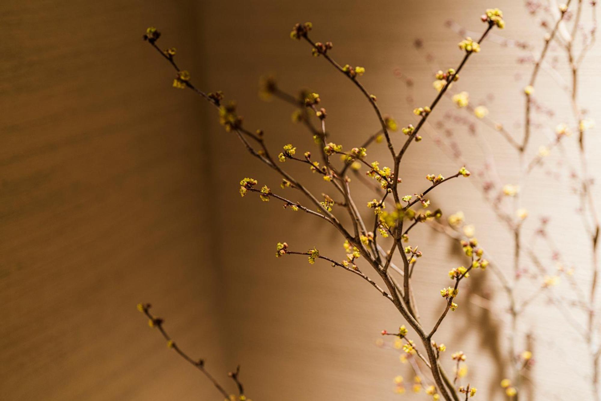 Shinzan Kinosaki Hotel Toyooka  Luaran gambar